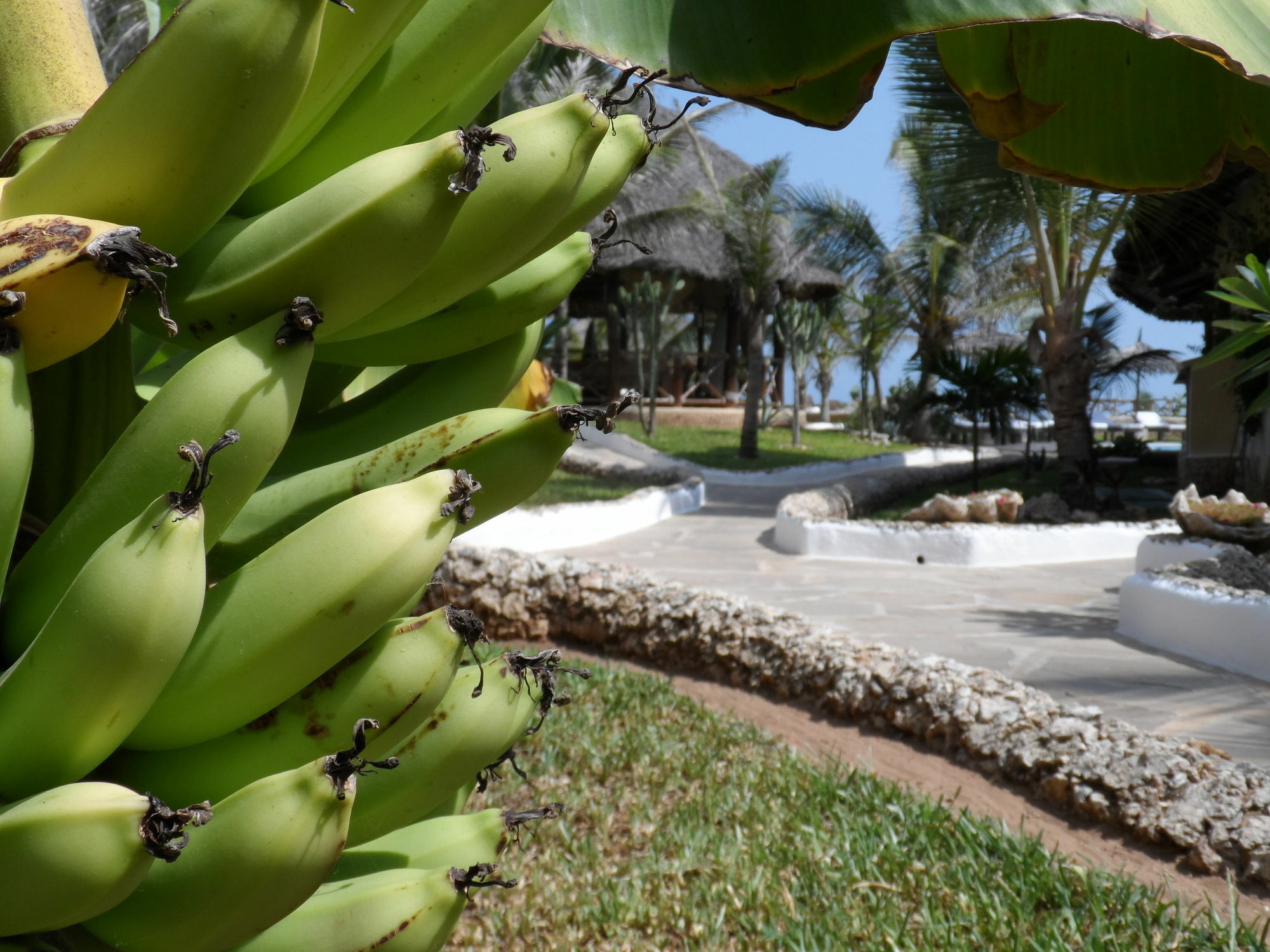 Mawe Resort Watamu Boutique Hotel Екстер'єр фото
